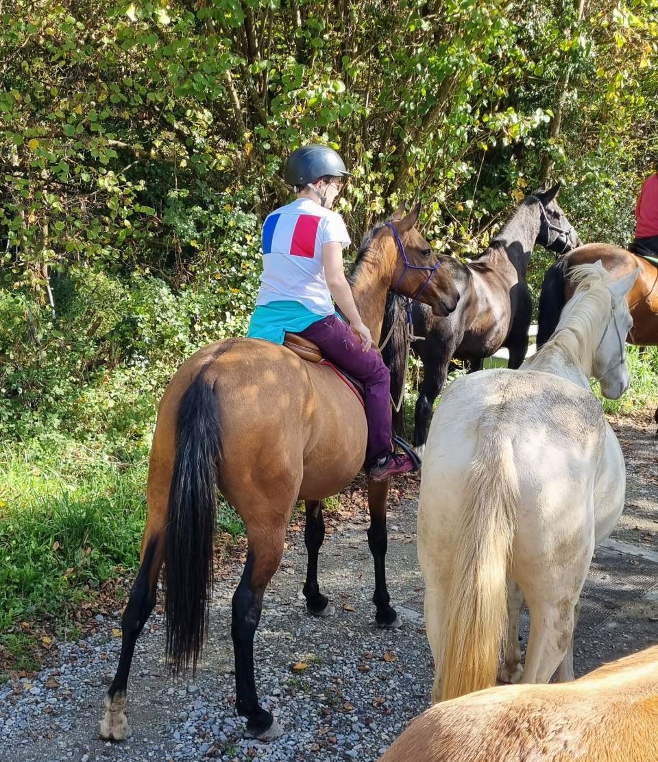 Yegua Akhal Teke En venta 2019 Bayo por Kemput AT