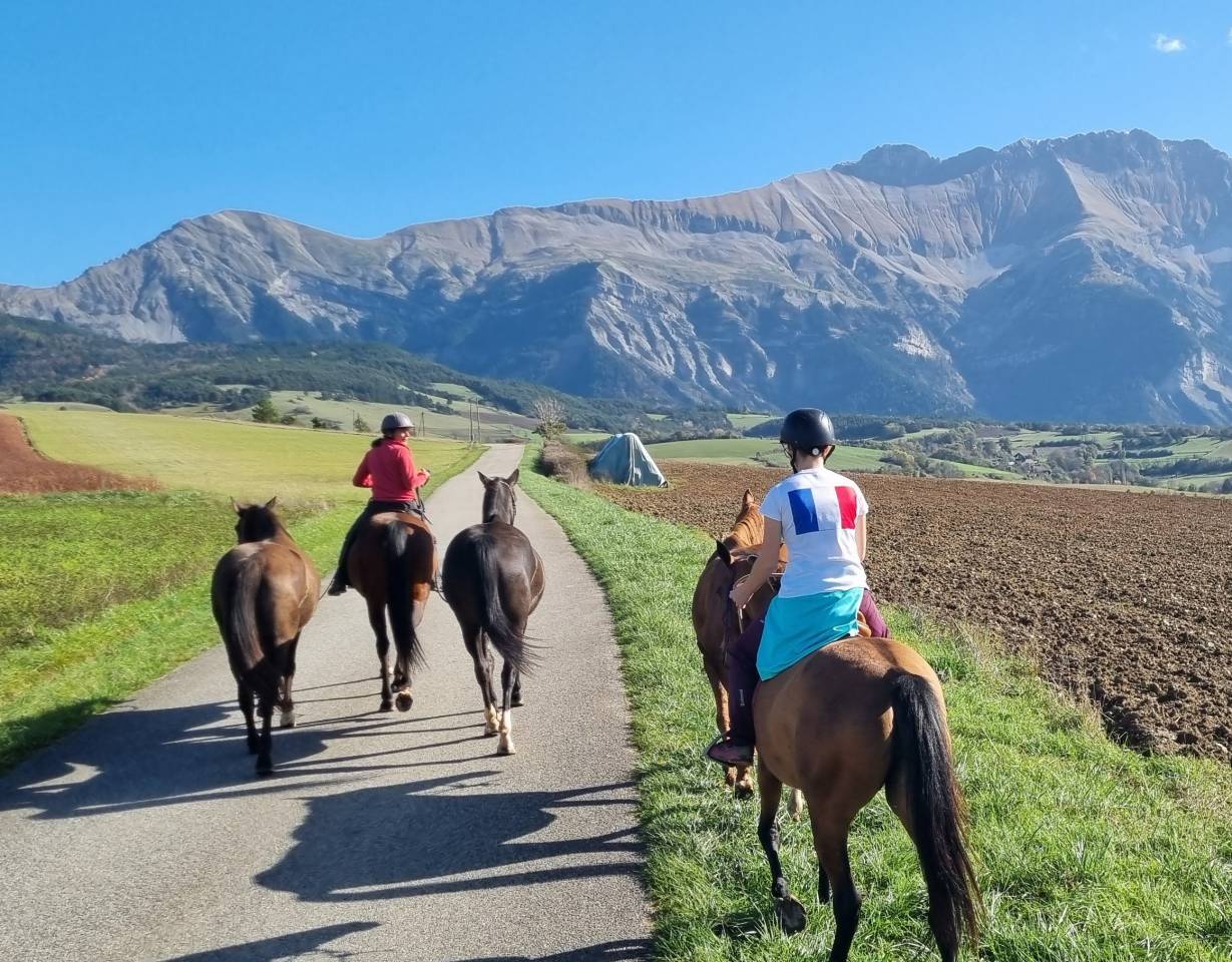 Yegua Akhal Teke En venta 2019 Bayo por Kemput AT