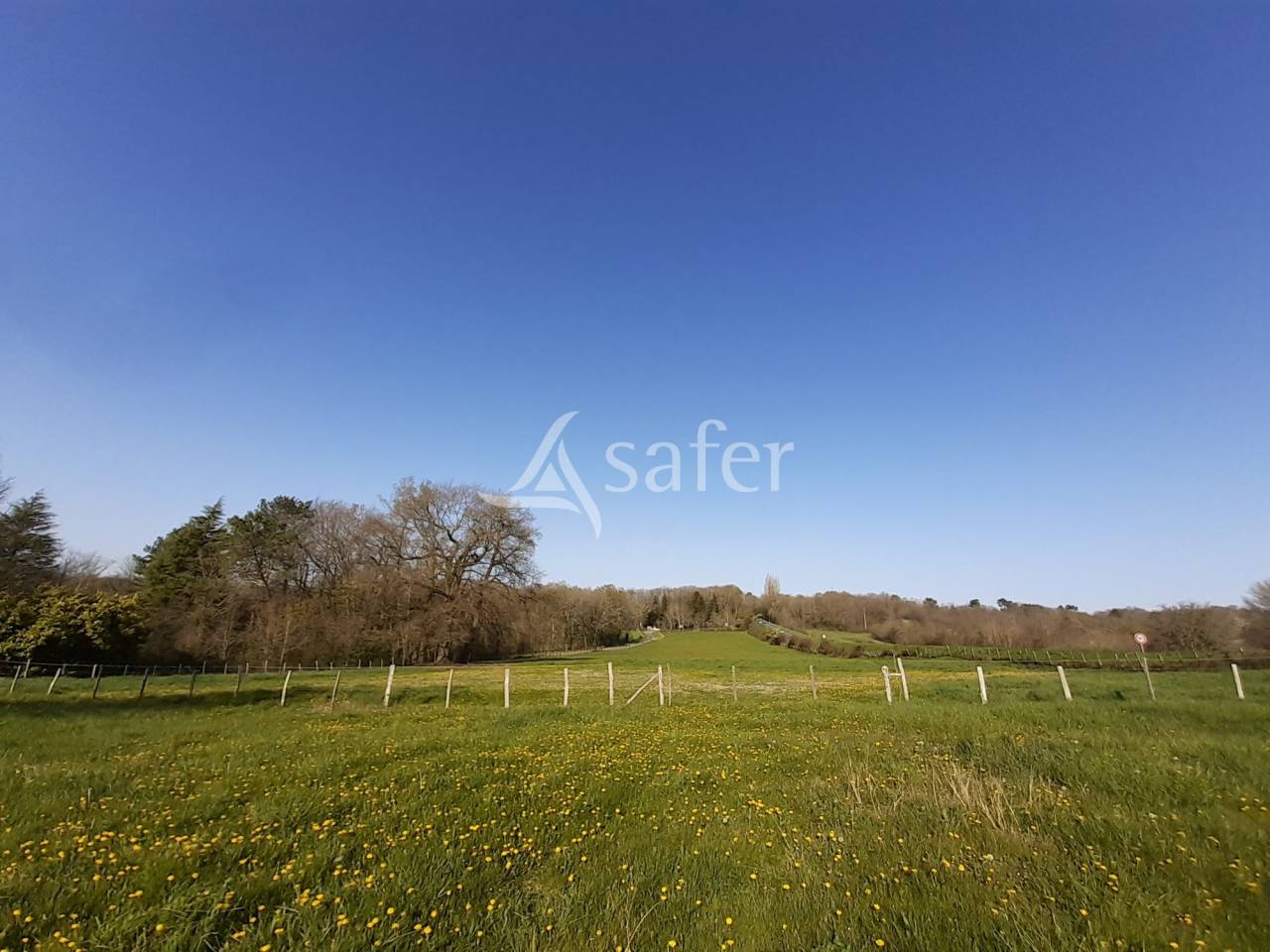 Explotación agrícola En venta Charente