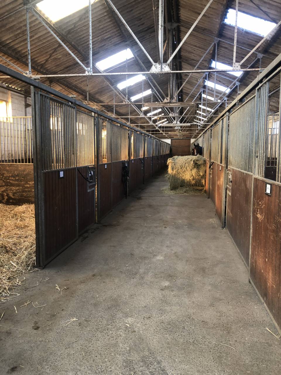 Cuadra de carrera En venta Orne
