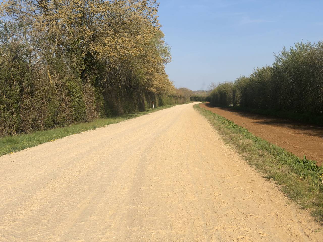 Cuadra de carrera En venta Orne