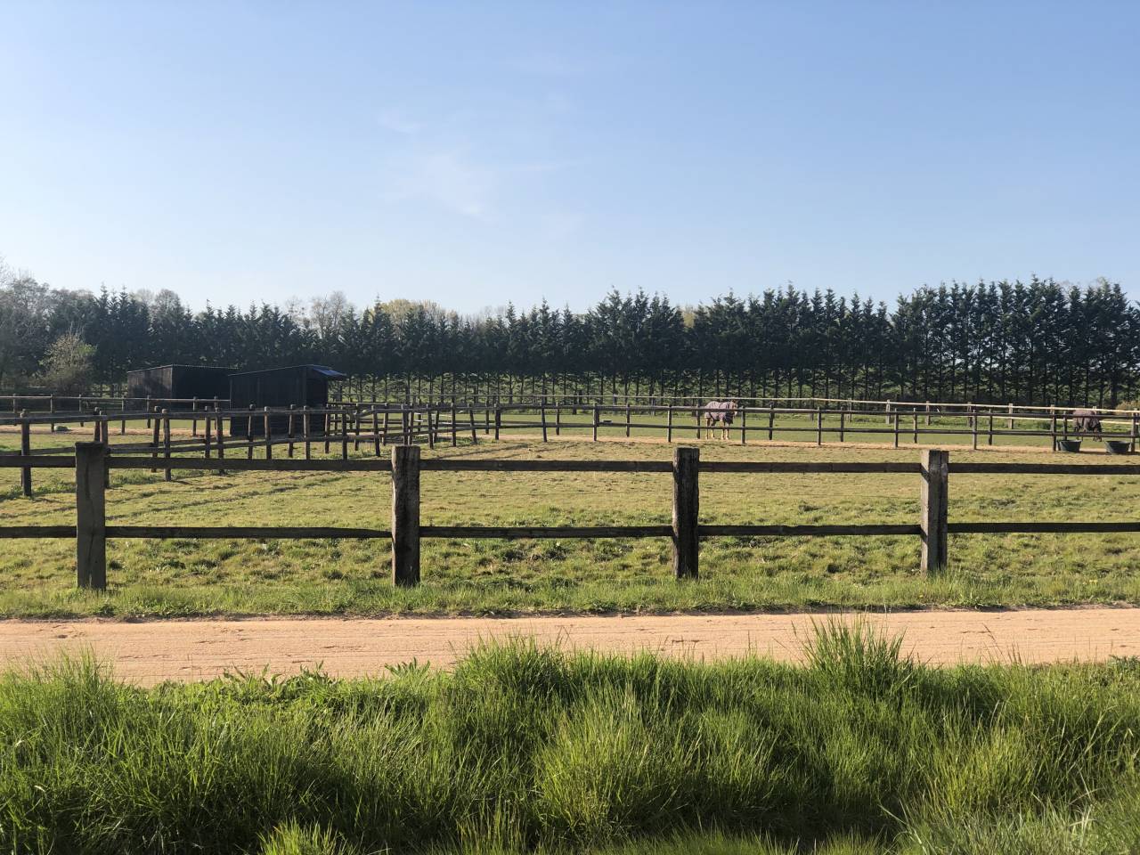 Cuadra de carrera En venta Orne