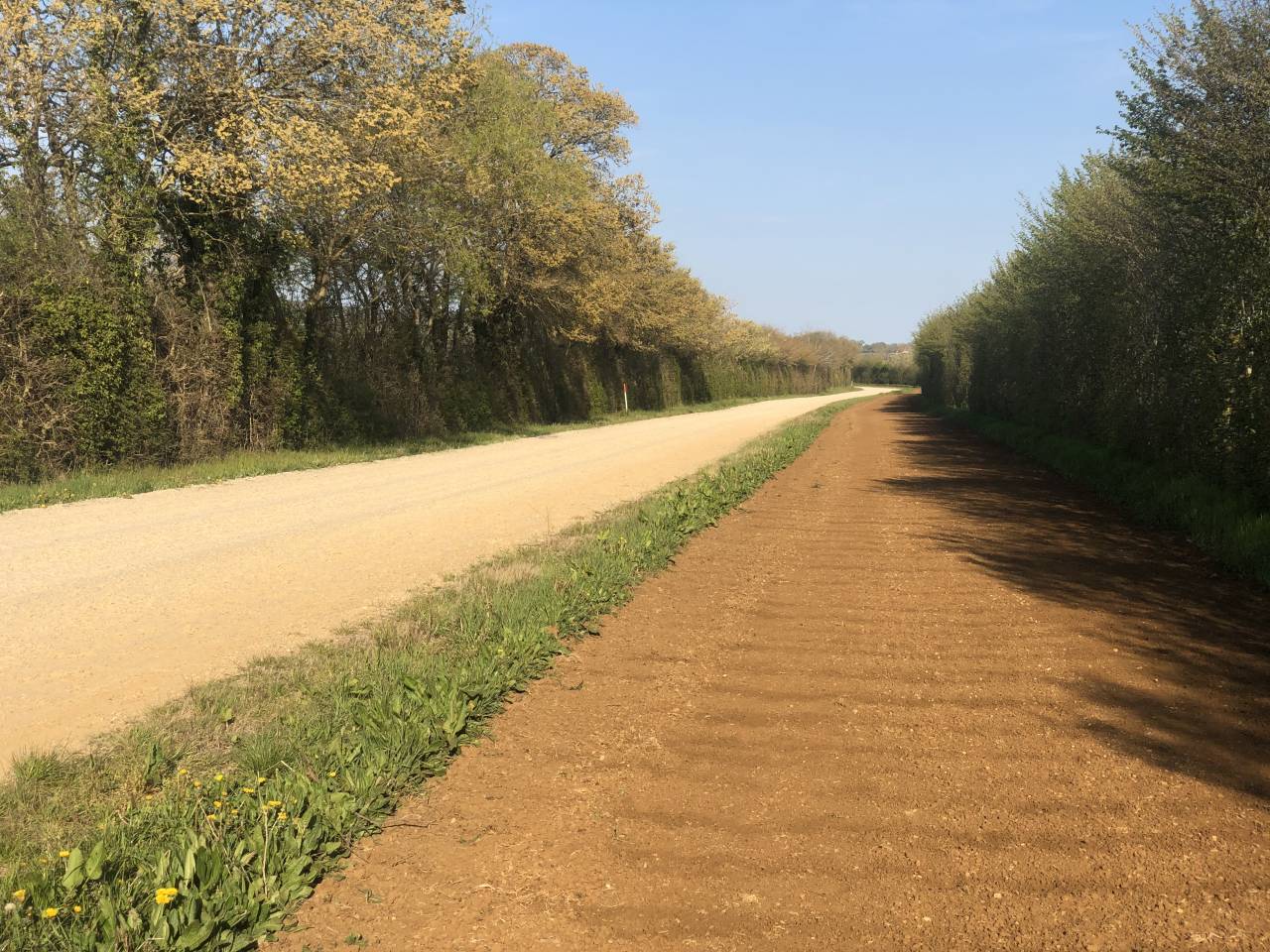 Cuadra de carrera En venta Orne