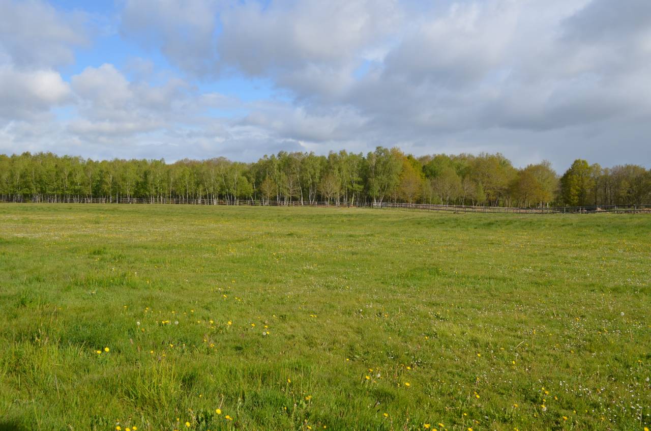 Acaballadero En venta Calvados