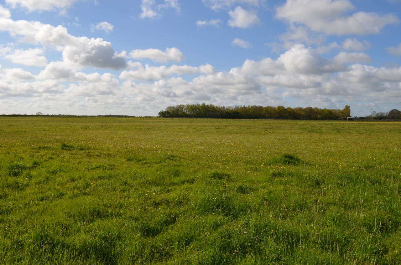 Acaballadero En venta Calvados