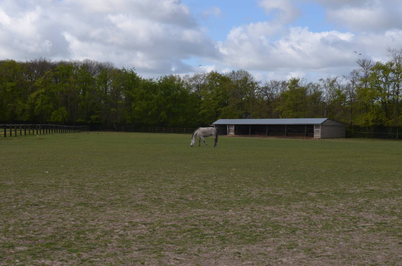 Acaballadero En venta Calvados