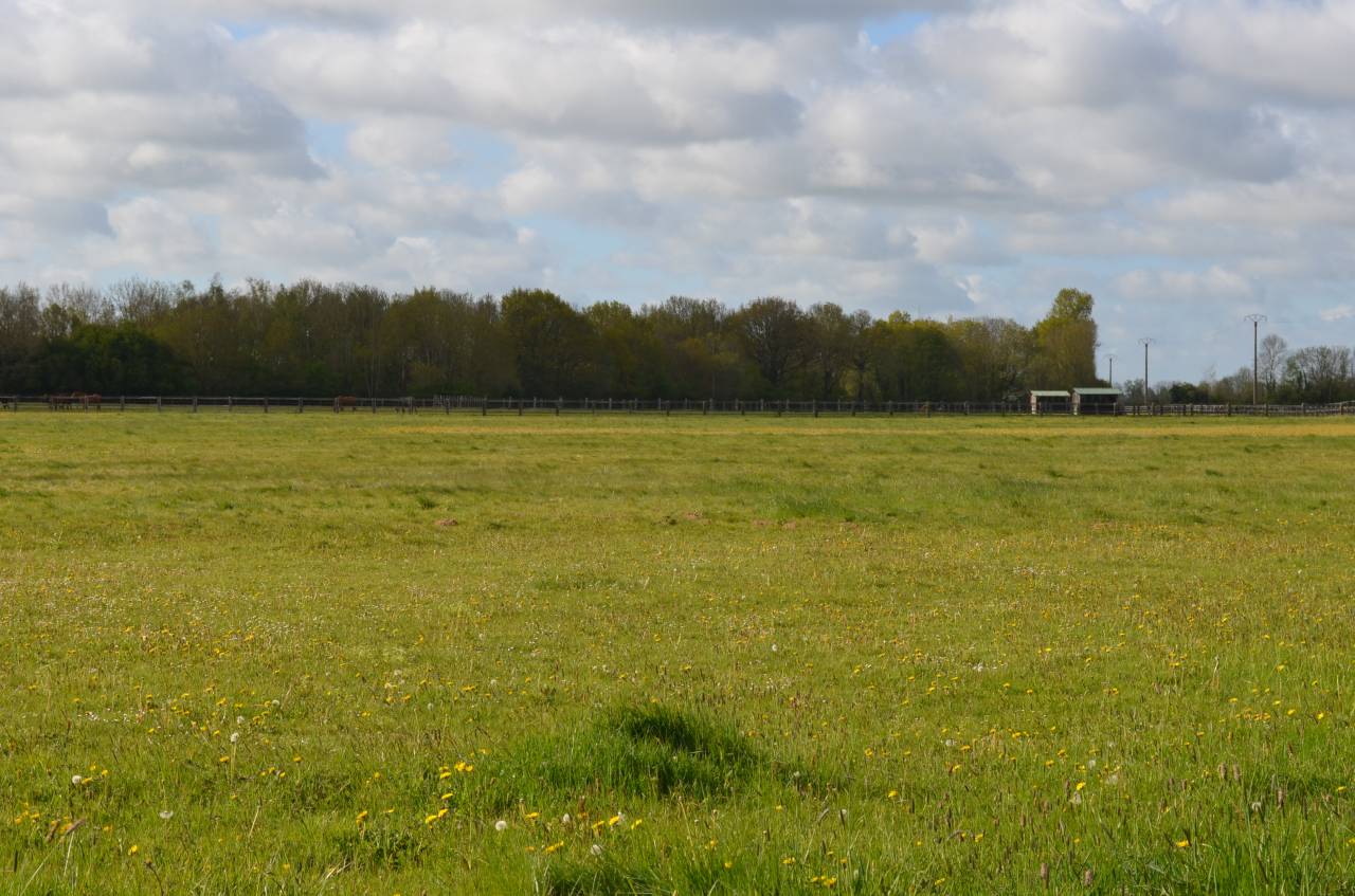 Acaballadero En venta Calvados