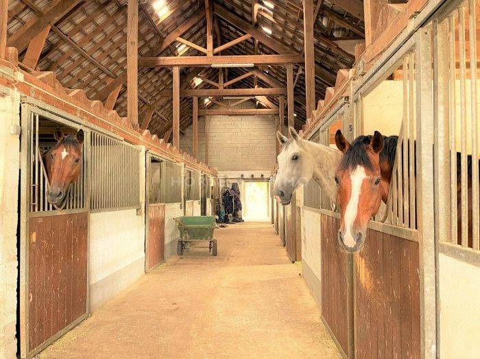 Propiedad ecuestre En venta Sena y Marne