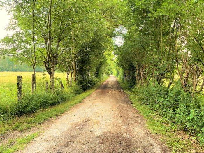 Propiedad ecuestre En venta Sena y Marne