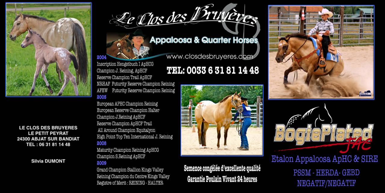 Potro Appaloosa En venta 2020 Palomino por BOGIEPLATED JAC (ApHC)