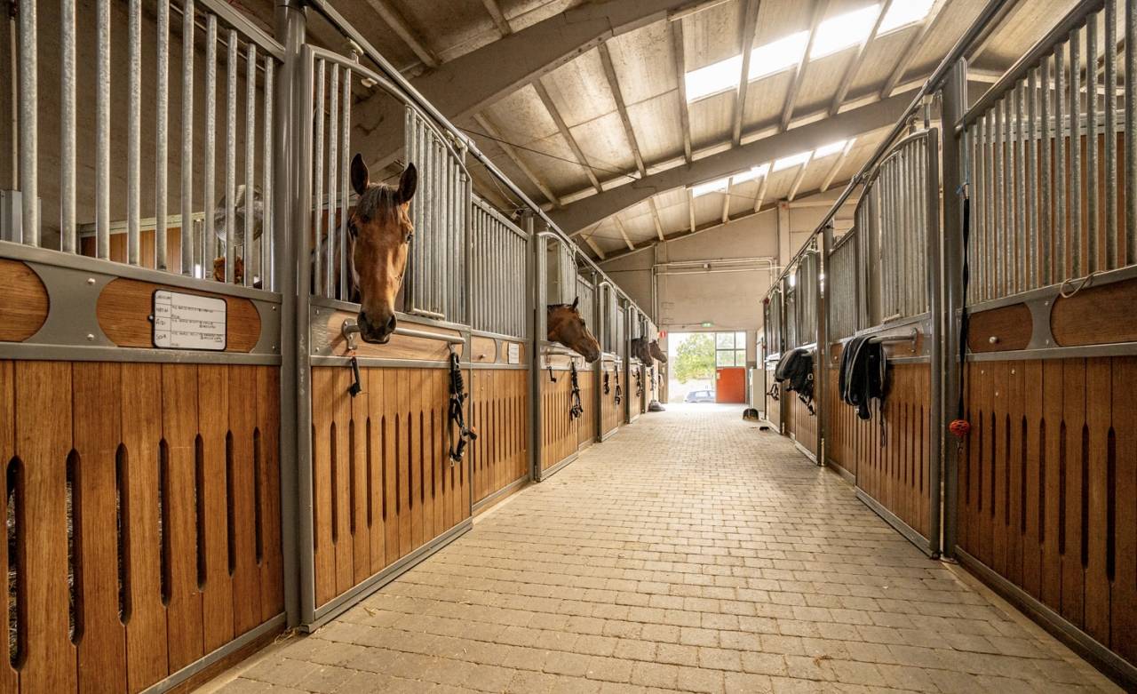 Cuadra de propietarios En alquiler Brabant-Flamand