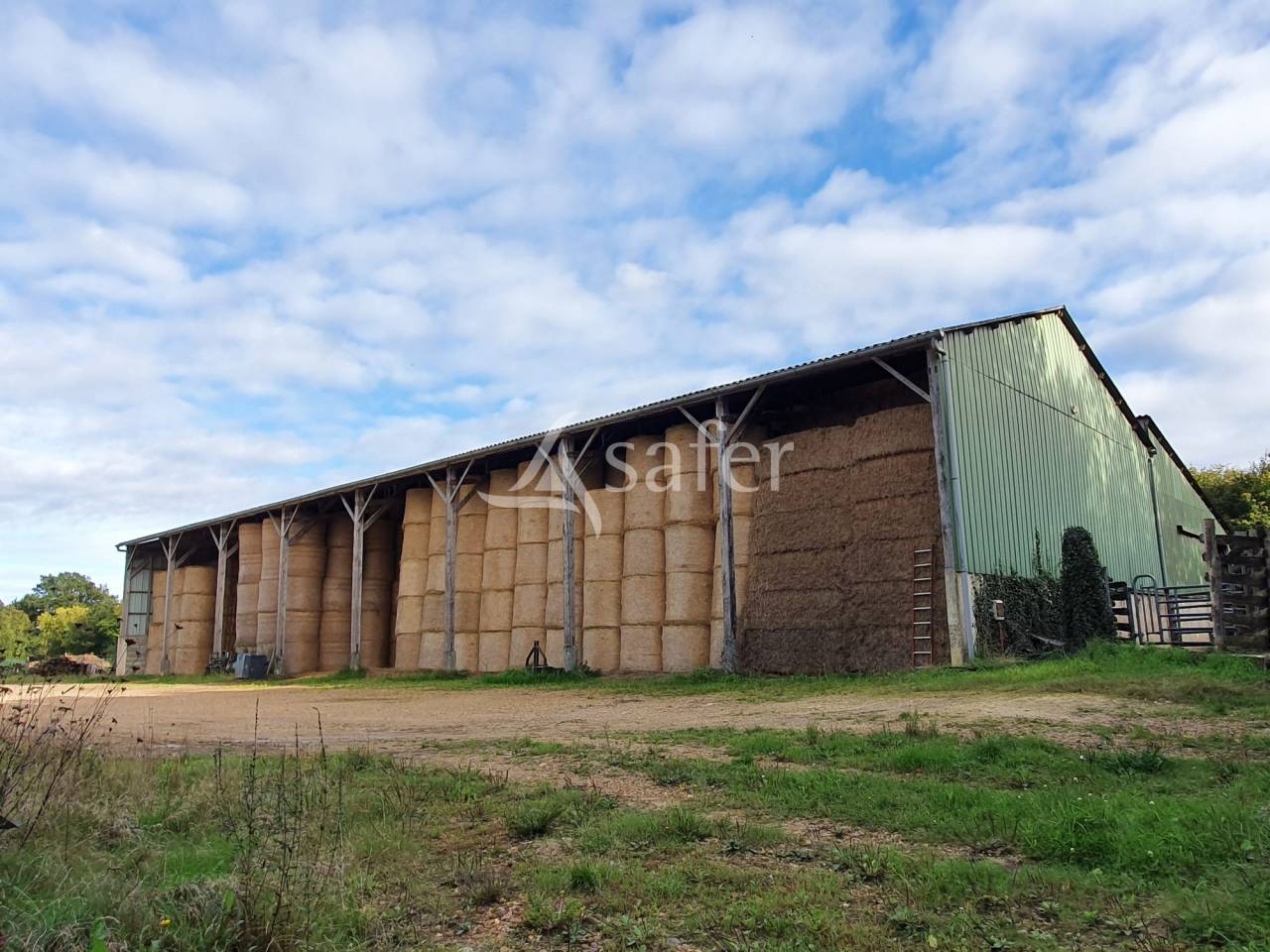 Explotación avícola En venta Sarthe