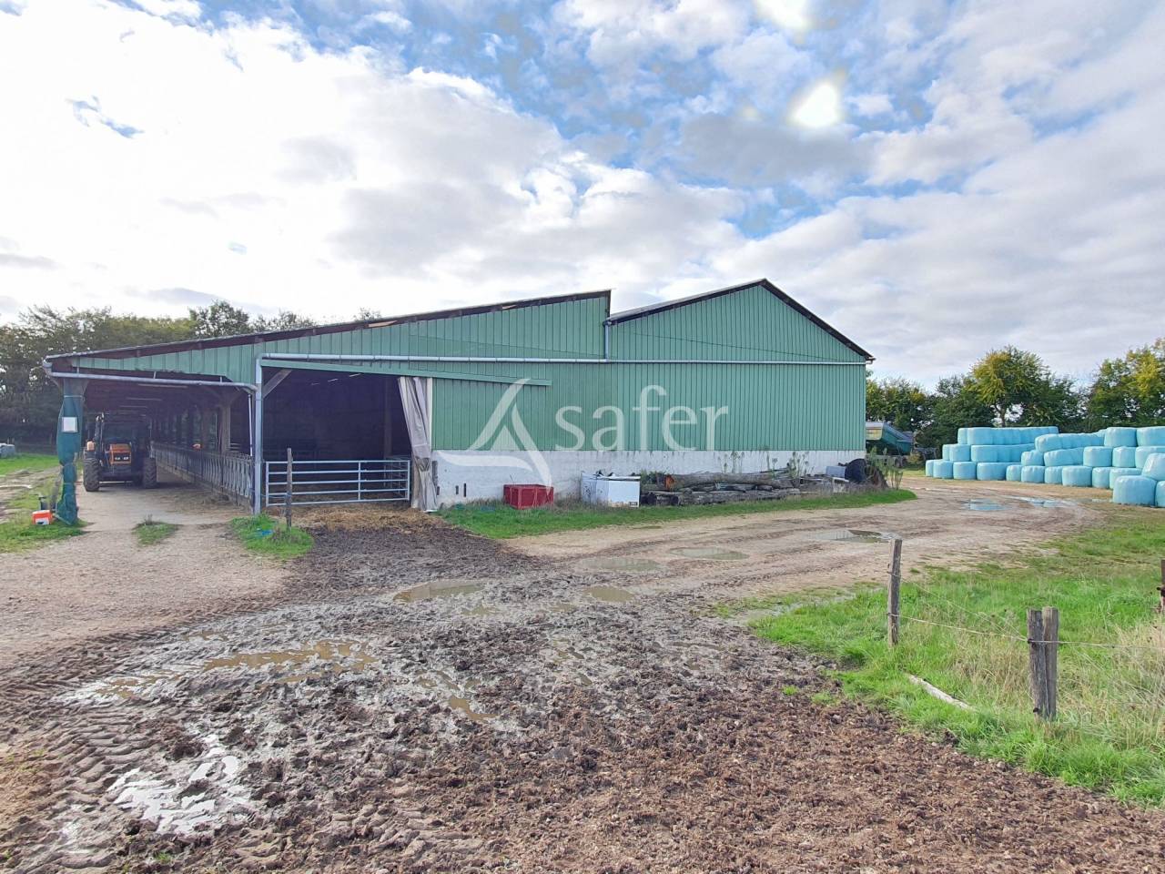 Explotación avícola En venta Sarthe