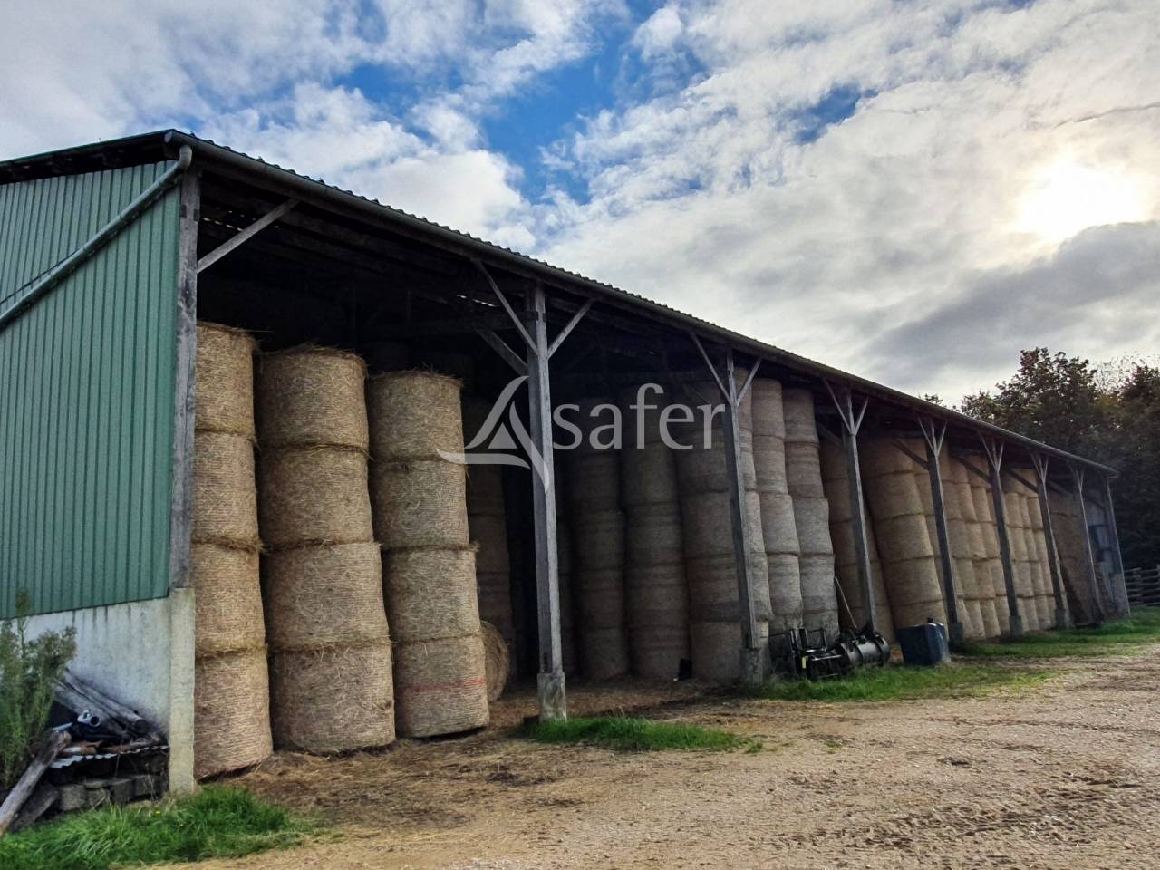 Explotación avícola En venta Sarthe