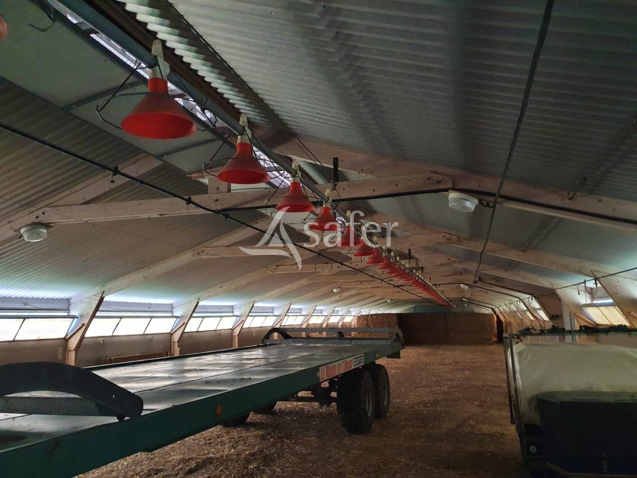 Explotación avícola En venta Sarthe