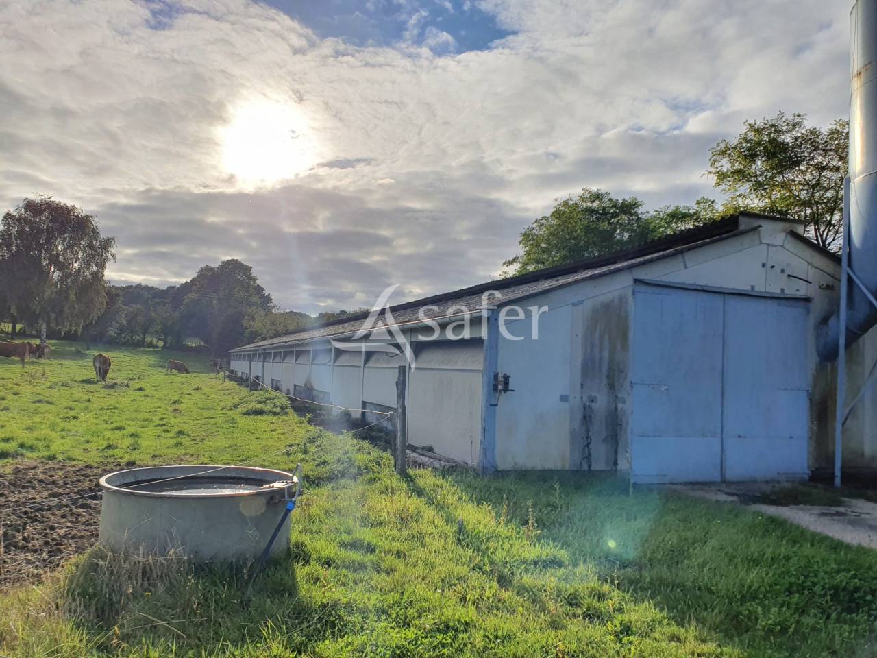 Explotación avícola En venta Sarthe