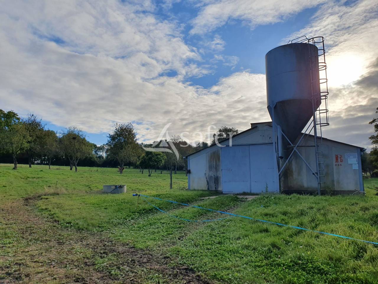 Explotación avícola En venta Sarthe