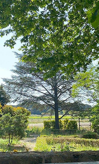 Propiedad ecuestre En venta Hérault