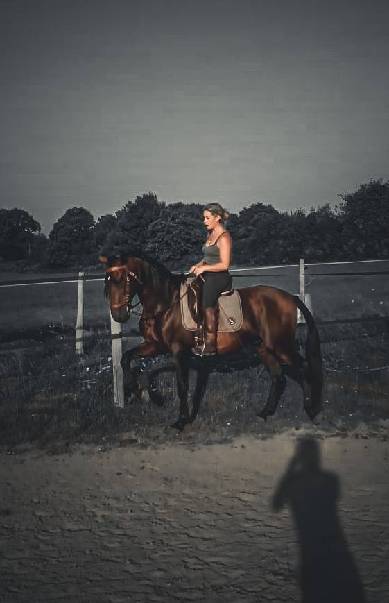 Amadeo de Ruyer - Lusitano 2010 por Borladero FLV