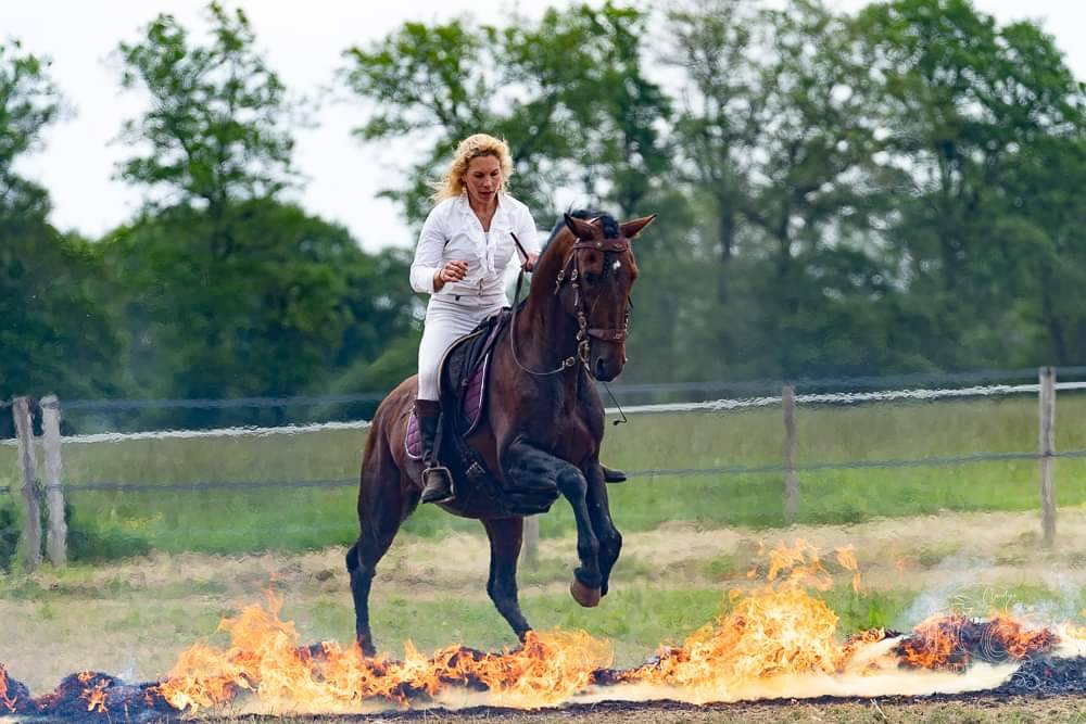 Amadeo de Ruyer - Lusitano 2010 por Borladero FLV