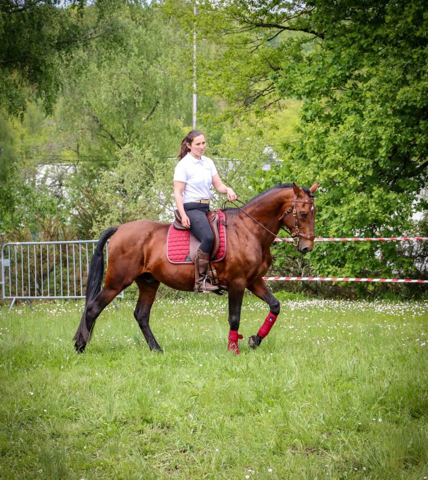 Amadeo de Ruyer - Lusitano 2010 por Borladero FLV