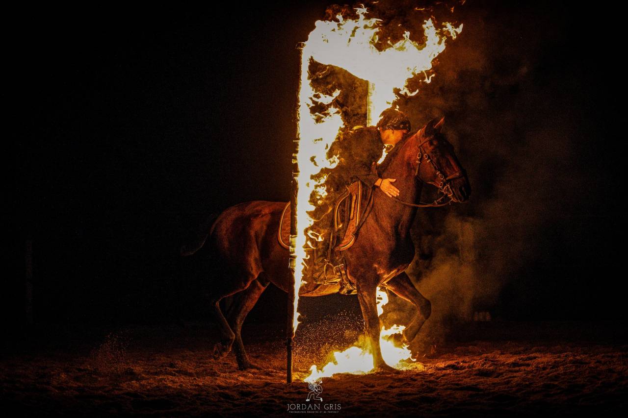 Amadeo de Ruyer - Lusitano 2010 por Borladero FLV