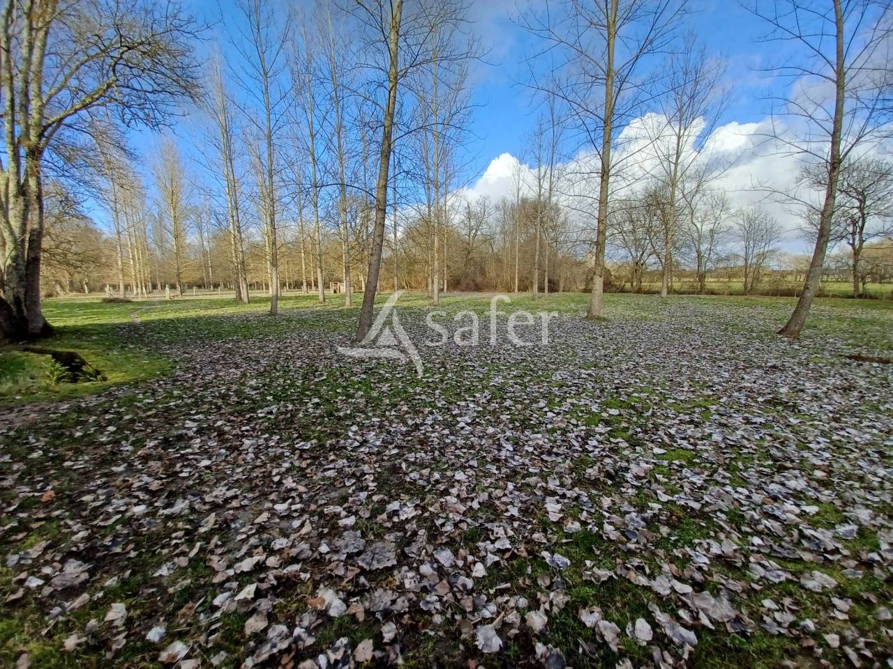 Propiedad rural En venta Charente