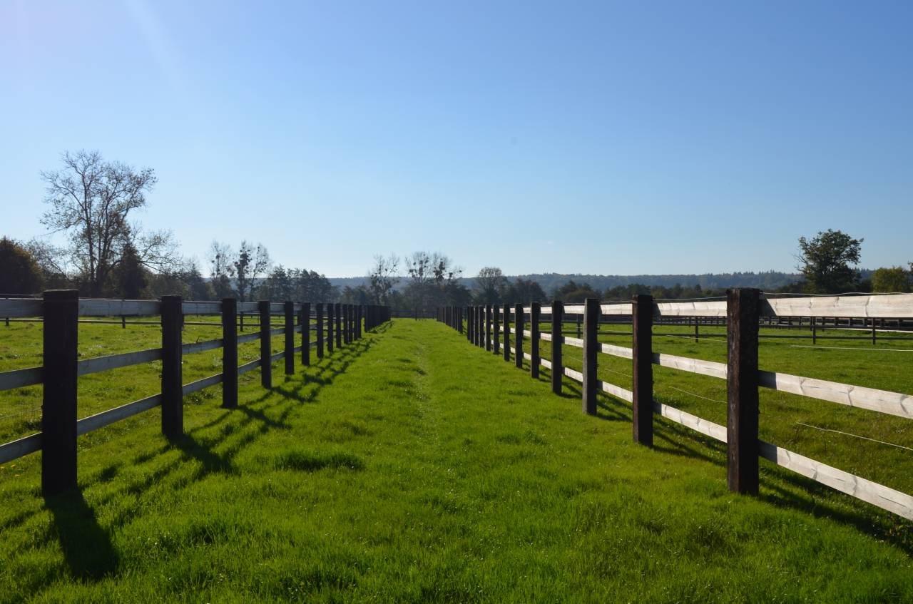 Acaballadero En venta Orne