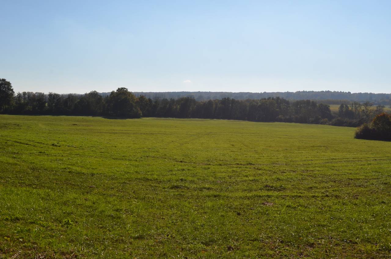 Acaballadero En venta Orne