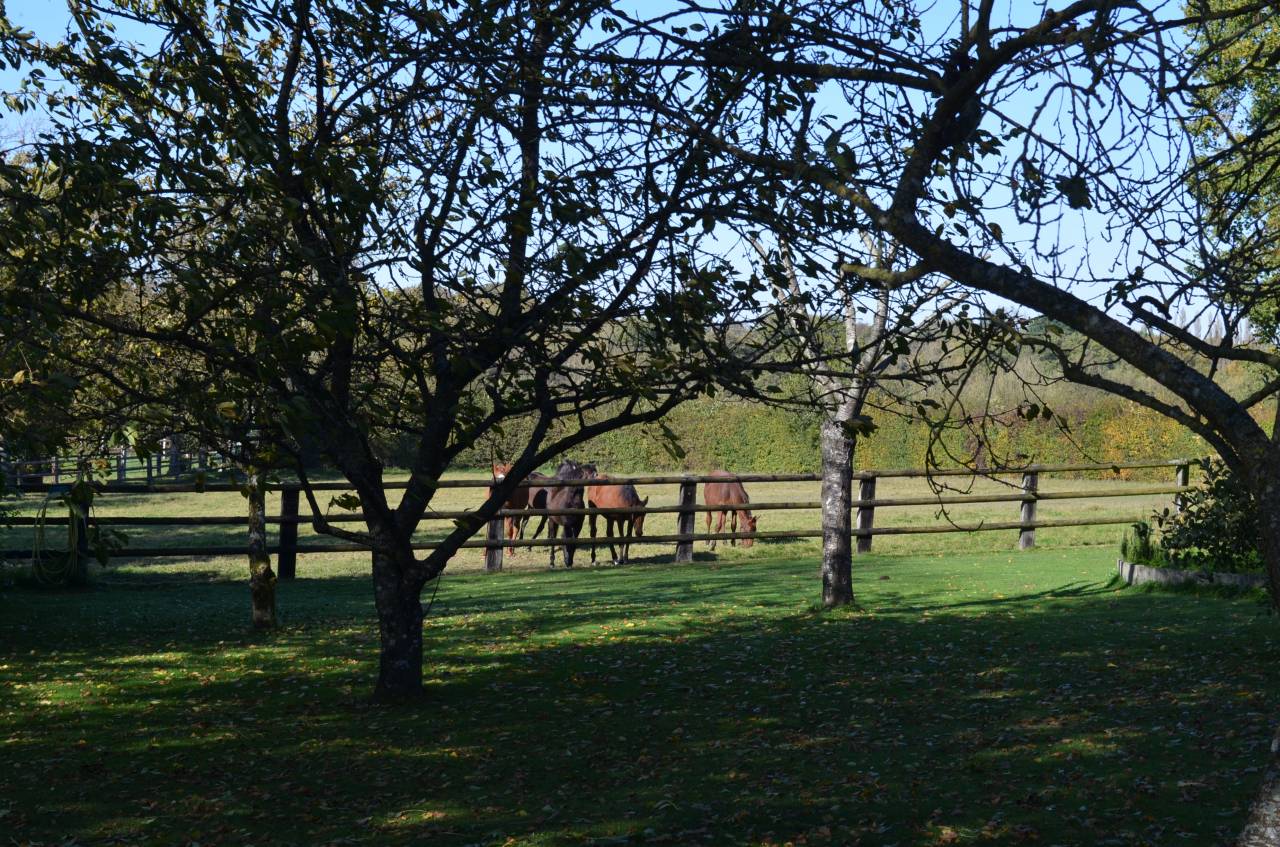 Acaballadero En venta Orne