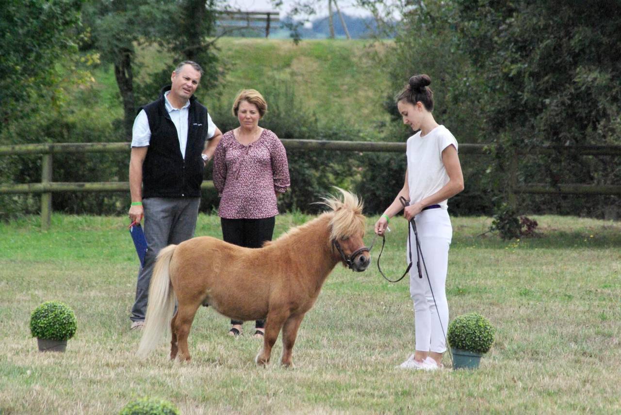 Inouk du maugarnaud  - Shetland 2018 por First du mury marrais