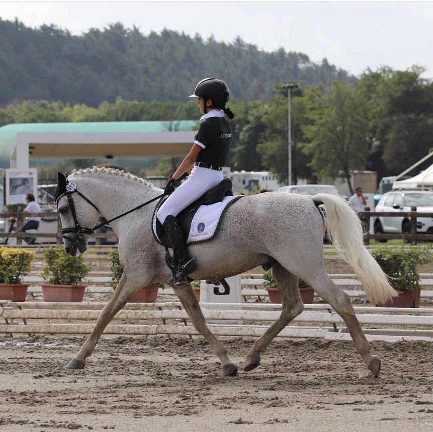 LAPSUS DE L'OCQ - New Forest 1999 por WILLOWAY GOOD AS GOLD (GB)