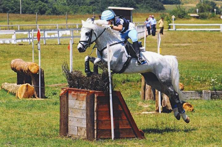 LAPSUS DE L'OCQ - New Forest 1999 por WILLOWAY GOOD AS GOLD (GB)