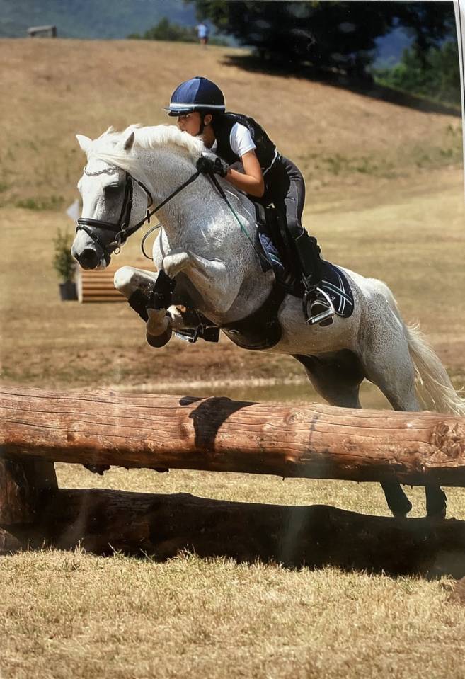 LAPSUS DE L'OCQ - New Forest 1999 por WILLOWAY GOOD AS GOLD (GB)