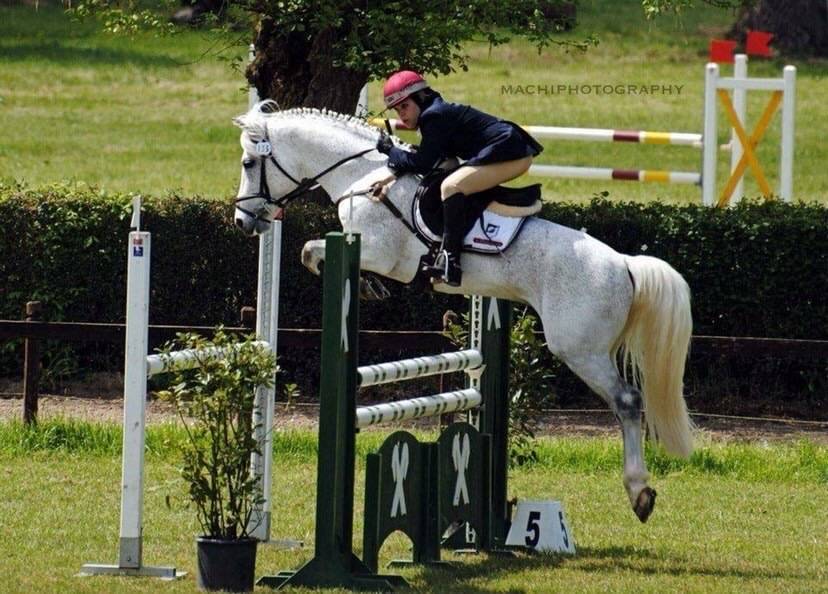 LAPSUS DE L'OCQ - New Forest 1999 por WILLOWAY GOOD AS GOLD (GB)
