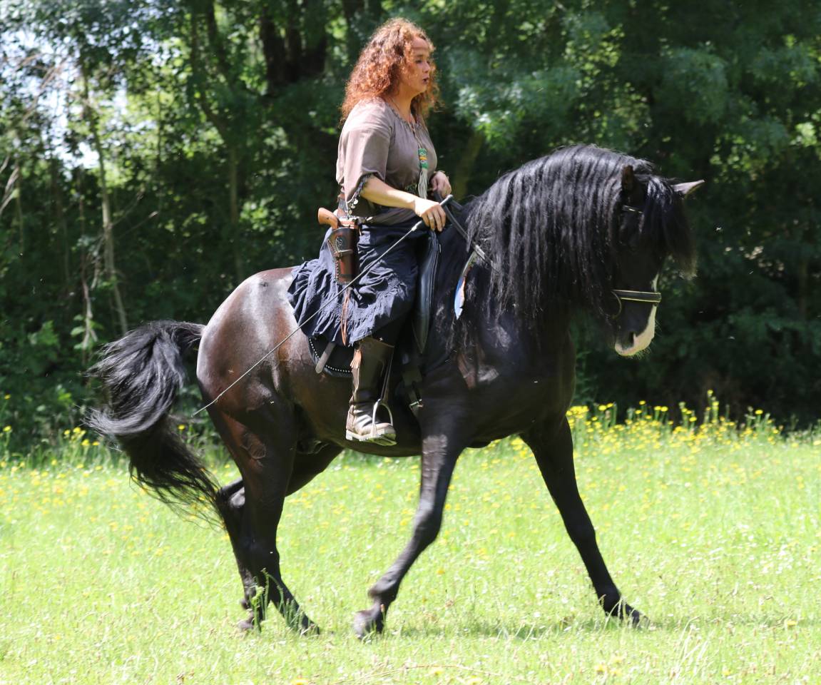 PUNTEADO II - PRE Pura Raza Española 2004 por Gereno II