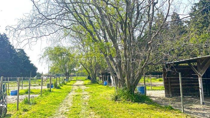 Bonita residencia ecuestre En venta Vaucluse