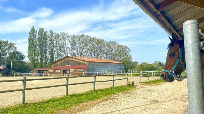 Propiedad ecuestre En venta Gard