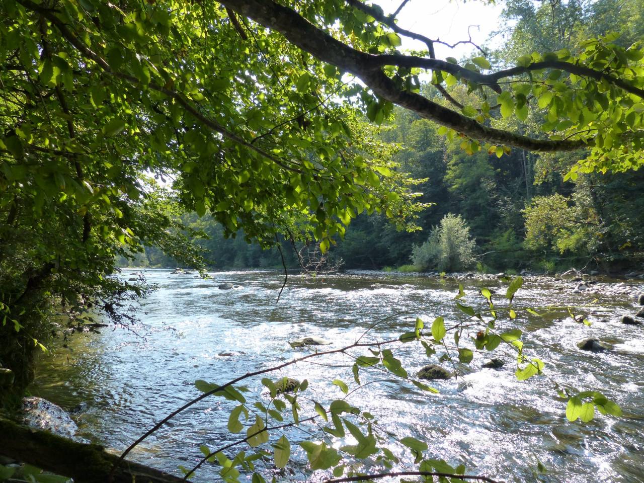 Propiedad ecuestre En venta Alta Saboya