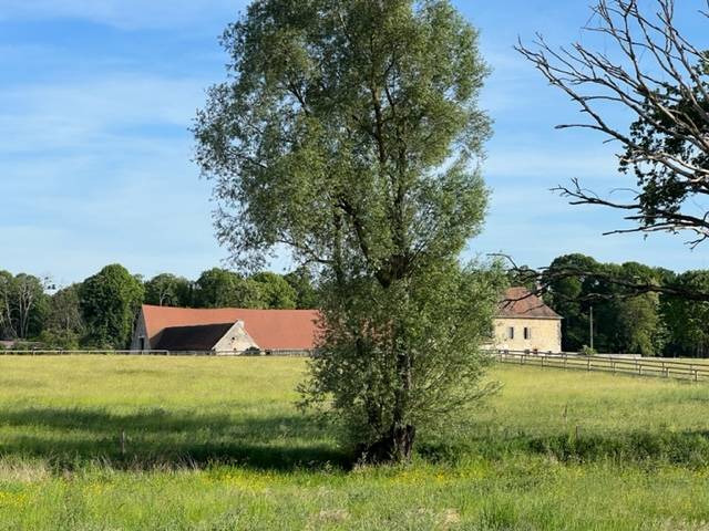 Acaballadero En venta Allier