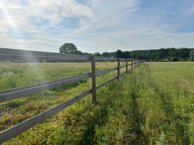 Acaballadero En venta Allier