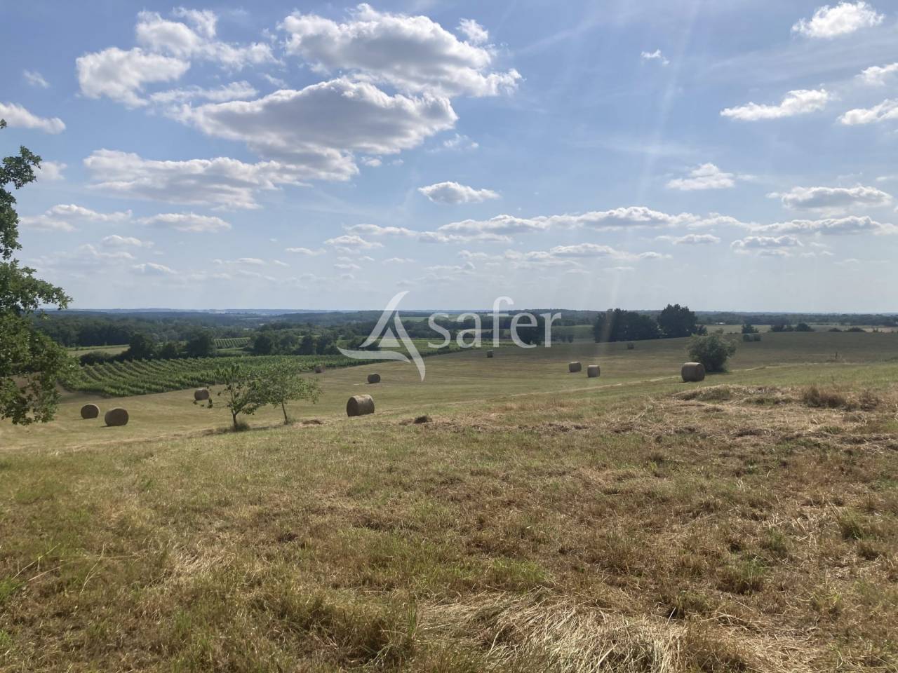 Propiedad ecuestre En venta Lot y Garona