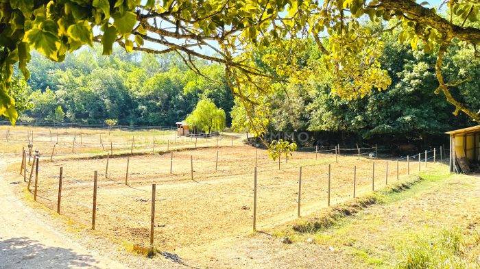 Propiedad ecuestre En venta Var