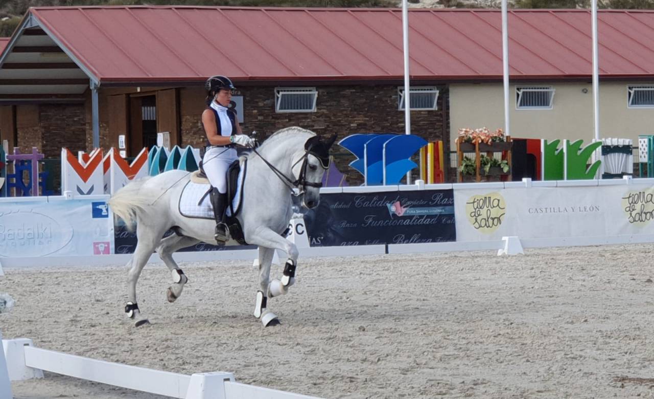 Caballo castrado PRE Pura Raza Espa&ntilde;ola En venta 2012 Blanco por BAROLIK DE LP