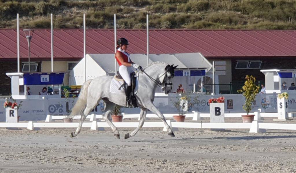 Caballo castrado PRE Pura Raza Espa&ntilde;ola En venta 2012 Blanco por BAROLIK DE LP