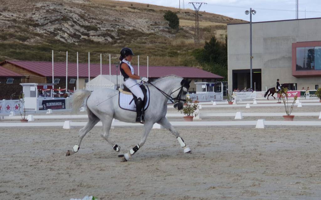 Caballo castrado PRE Pura Raza Espa&ntilde;ola En venta 2012 Blanco por BAROLIK DE LP