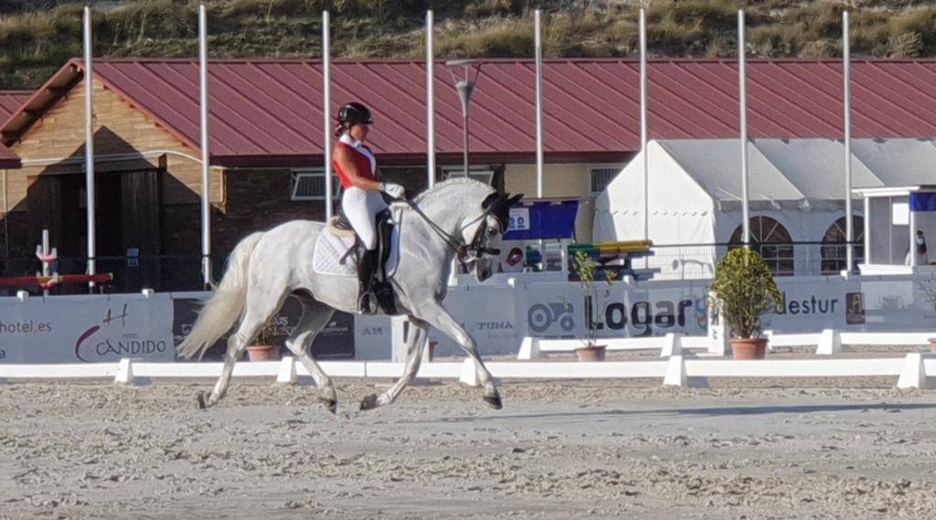 Caballo castrado PRE Pura Raza Espa&ntilde;ola En venta 2012 Blanco por BAROLIK DE LP