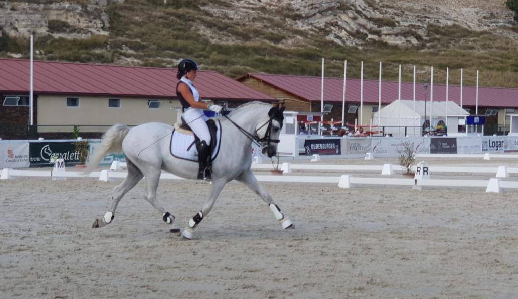 Caballo castrado PRE Pura Raza Espa&ntilde;ola En venta 2012 Blanco por BAROLIK DE LP