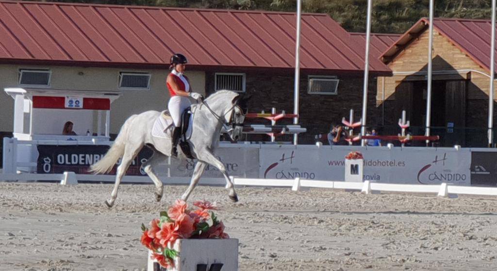 Caballo castrado PRE Pura Raza Espa&ntilde;ola En venta 2012 Blanco por BAROLIK DE LP