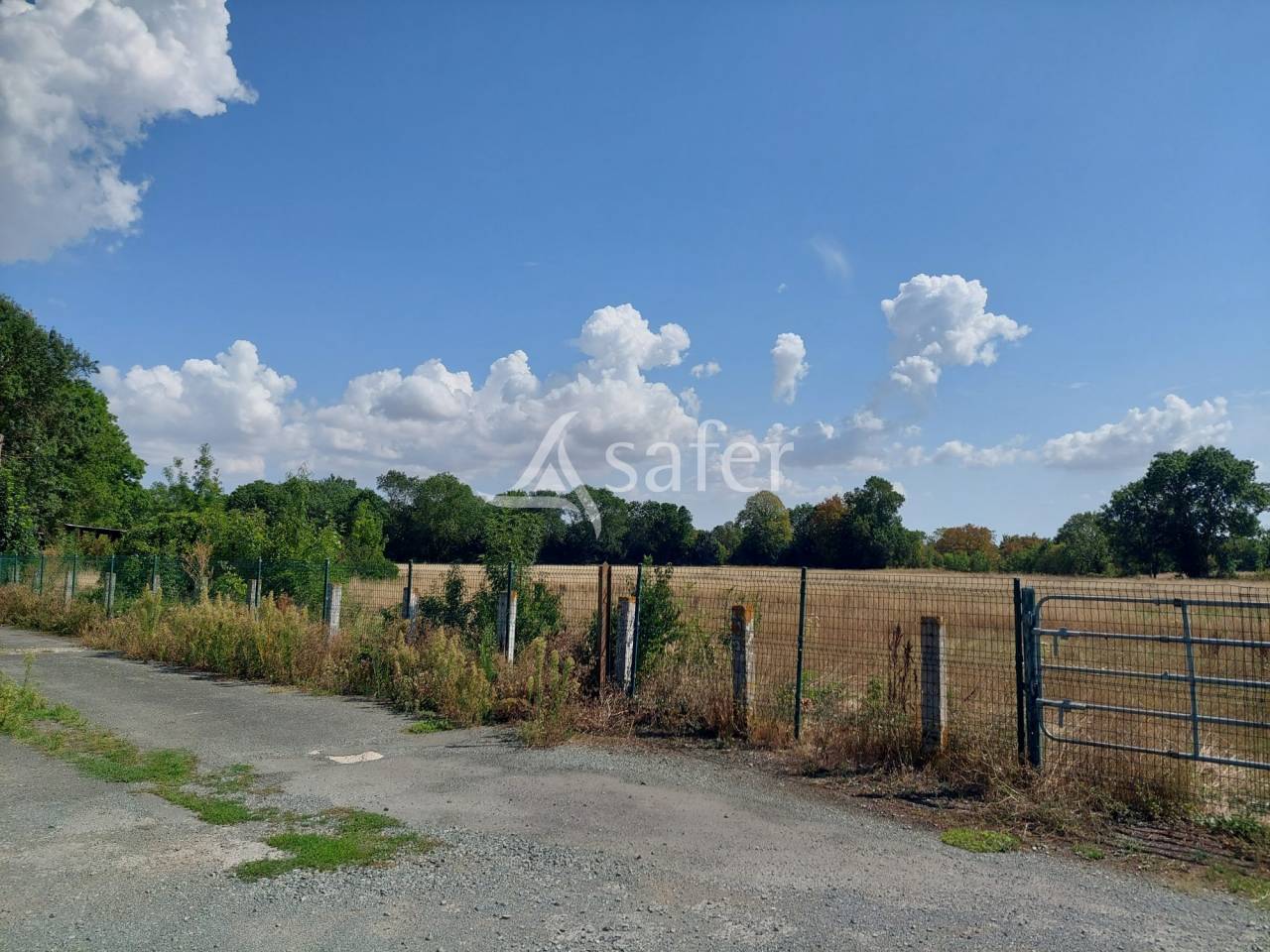 Explotación hortensa En venta Charente Marítimo